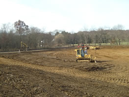 waterfowl habitat pond